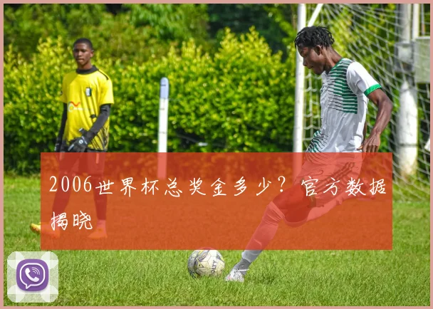 2006世界杯总奖金多少？官方数据揭晓